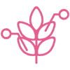 PURITY TRACING